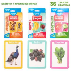 Cartas educativas POINTER 36 tarjetas