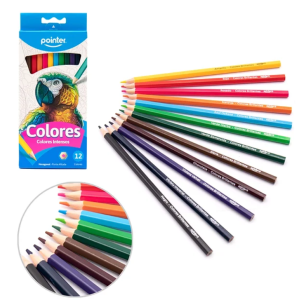 Lapices de Colores x 12 Calidad SUPERIOR POINTER