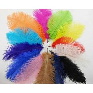 Plumas varios colores en paq.